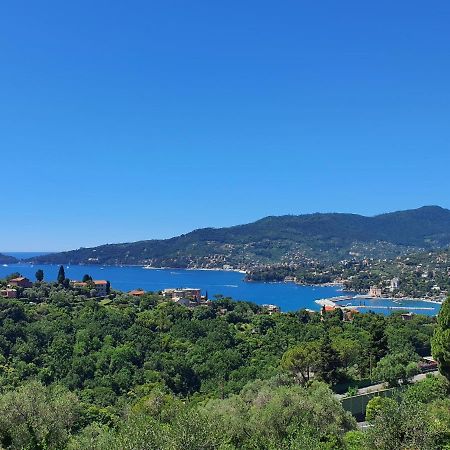 Villa Joana Цоальї Екстер'єр фото